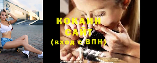 ешки Арсеньев
