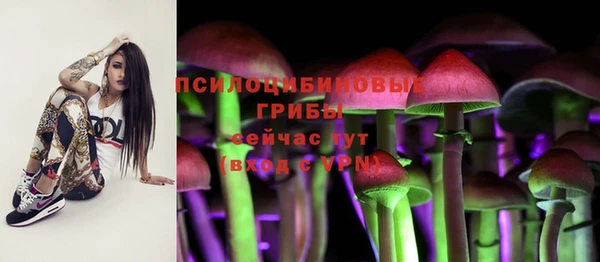 прущие крисы Алзамай