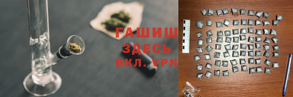 твердый Протвино