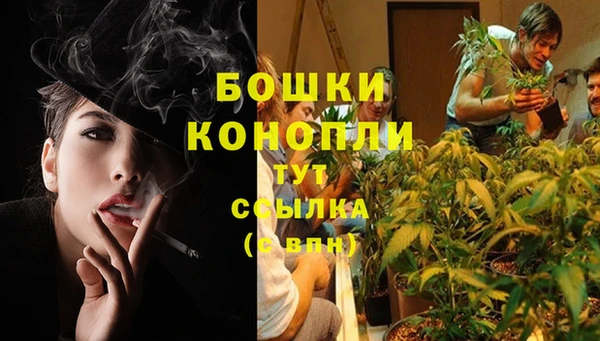 ешки Арсеньев