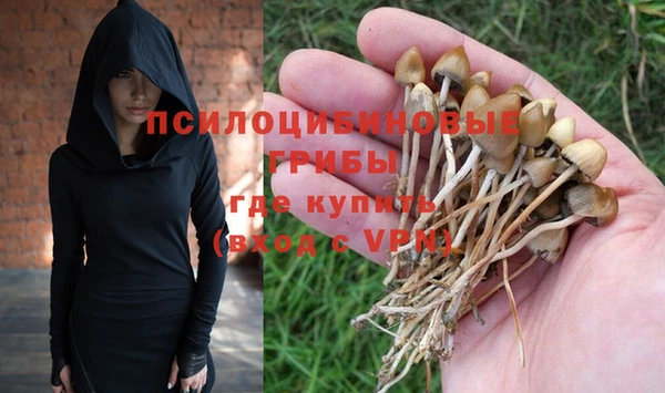 прущие крисы Алзамай