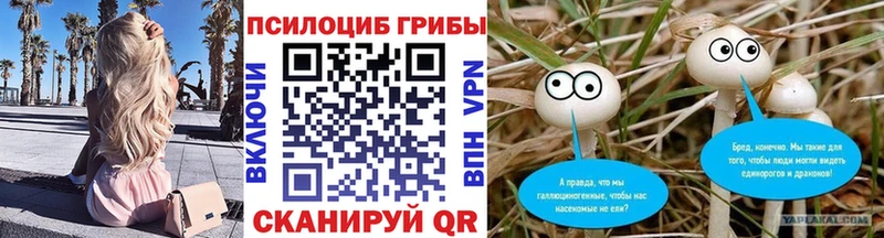 Псилоцибиновые грибы MAGIC MUSHROOMS Междуреченск