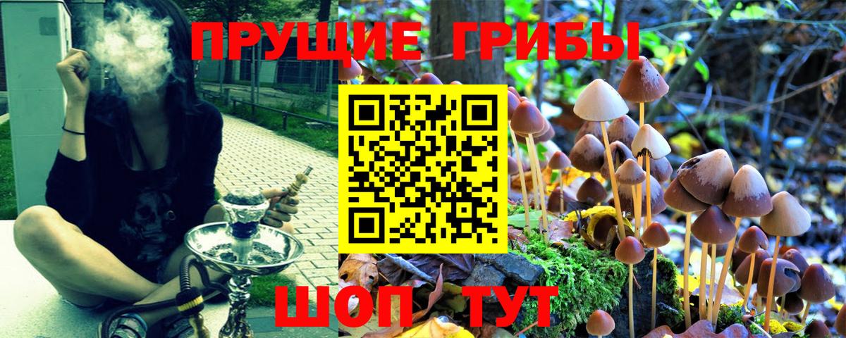 Галлюциногенные грибы GOLDEN TEACHER  Галлюциногенные грибы MAGIC MUSHROOMS  Междуреченск  Вход с VPN 